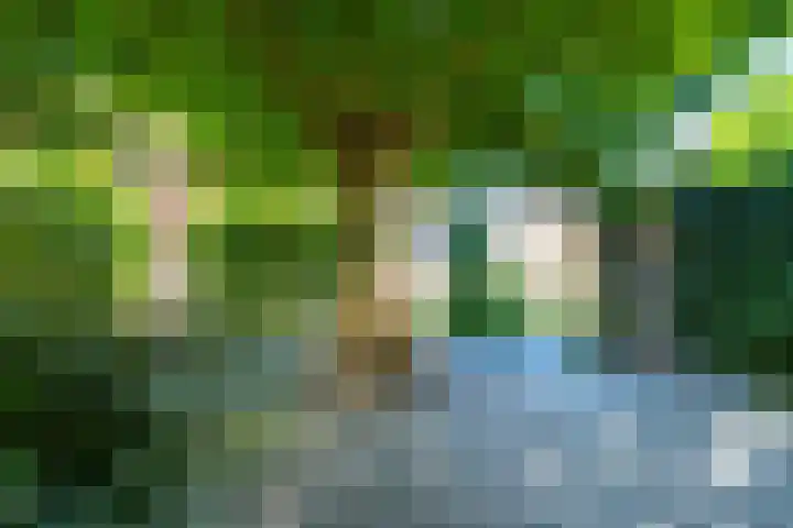 Zwaluw 52 Nieuwegein thumbnail 67