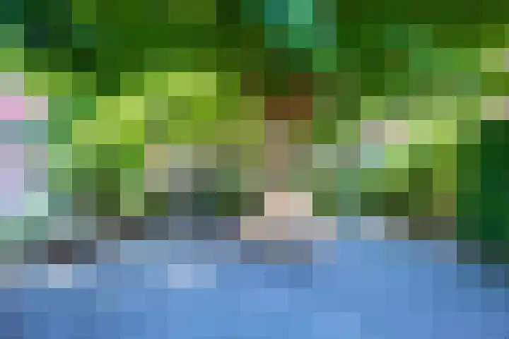 Zwaluw 52 Nieuwegein thumbnail 68
