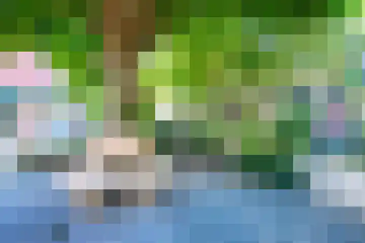 Zwaluw 52 Nieuwegein thumbnail 69