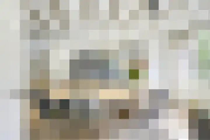 Zwaluw 52 Nieuwegein thumbnail 7