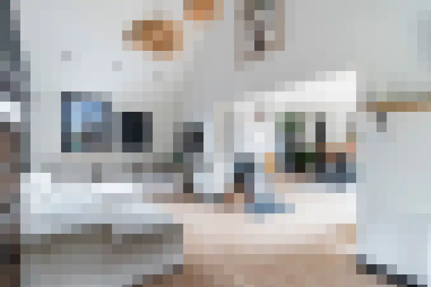 Zwaluw 58 Hoogvliet Rotterdam thumbnail 13