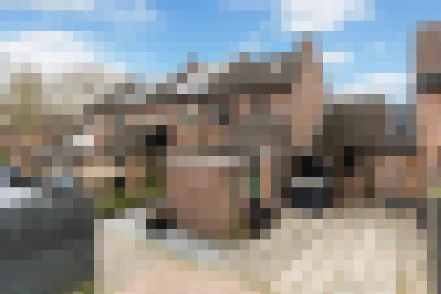 Zwaluw 58 Hoogvliet Rotterdam thumbnail 5