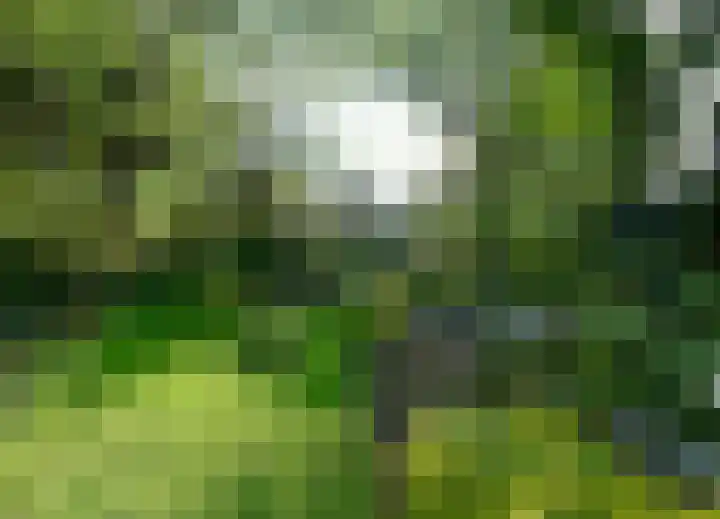 Zwaluw 6 Zuid-Scharwoude thumbnail 22