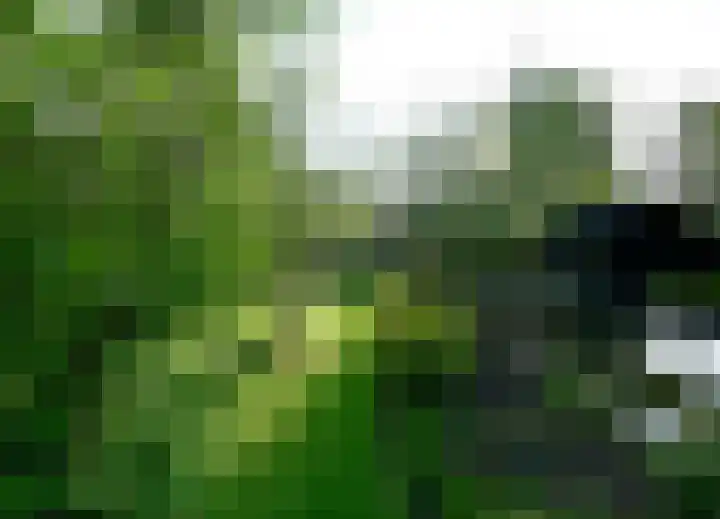 Zwaluw 6 Zuid-Scharwoude thumbnail 23