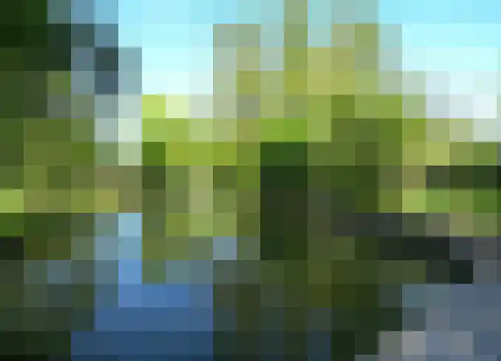 Zwaluw 6 Zuid-Scharwoude thumbnail 24