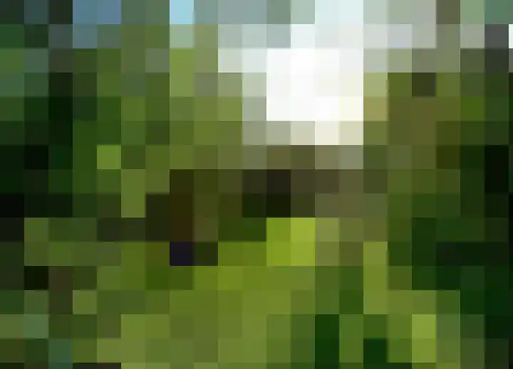 Zwaluw 6 Zuid-Scharwoude thumbnail 25