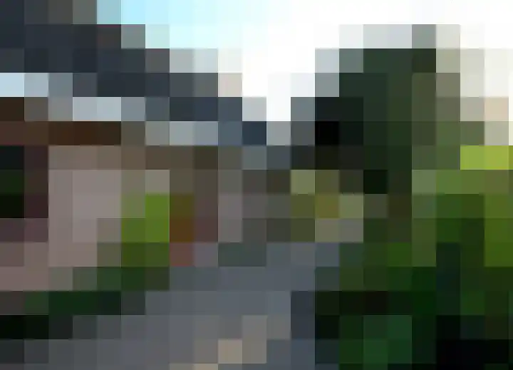 Zwaluw 6 Zuid-Scharwoude thumbnail 5