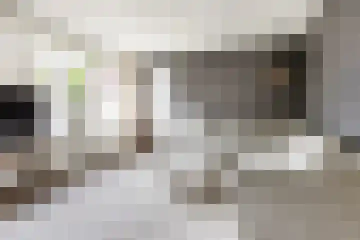 Zwaluw 7 Bedum thumbnail 11