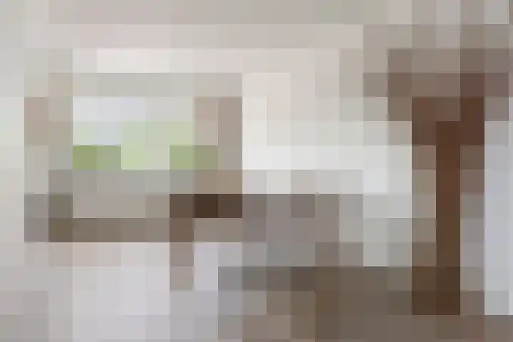 Zwaluw 7 Bedum thumbnail 13
