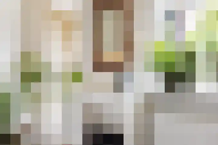 Zwaluw 7 Bedum thumbnail 17