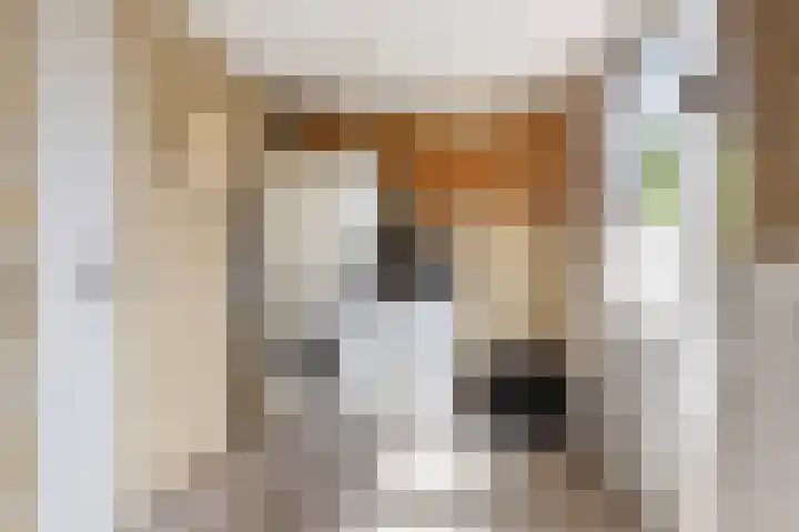 Zwaluw 7 Bedum thumbnail 20