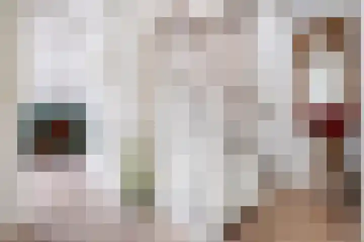 Zwaluw 7 Bedum thumbnail 22