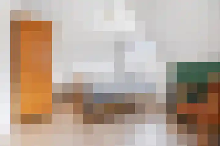 Zwaluw 7 Bedum thumbnail 23