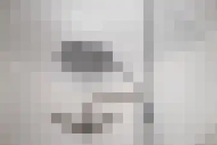 Zwaluw 7 Bedum thumbnail 28