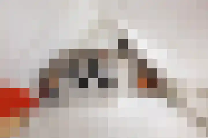 Zwaluw 7 Bedum thumbnail 33