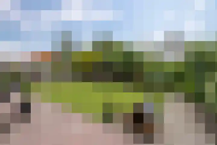 Zwaluw 7 Bedum thumbnail 34