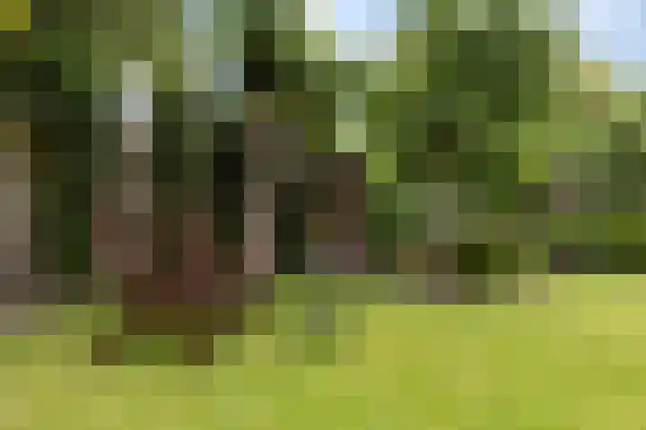 Zwaluw 7 Bedum thumbnail 35
