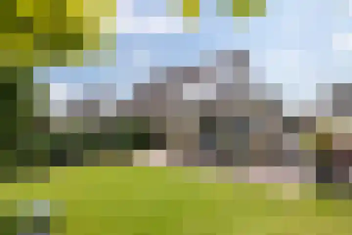 Zwaluw 7 Bedum thumbnail 36