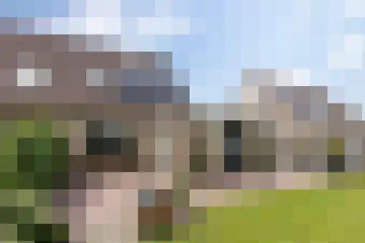 Zwaluw 7 Bedum thumbnail 38