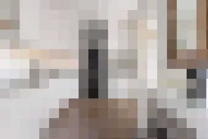 Zwaluw 7 Bedum thumbnail 4