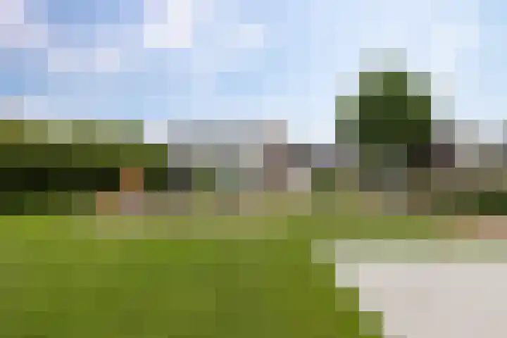 Zwaluw 7 Bedum thumbnail 41
