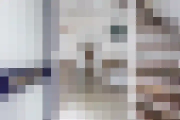 Zwaluw 7 Bedum thumbnail 9