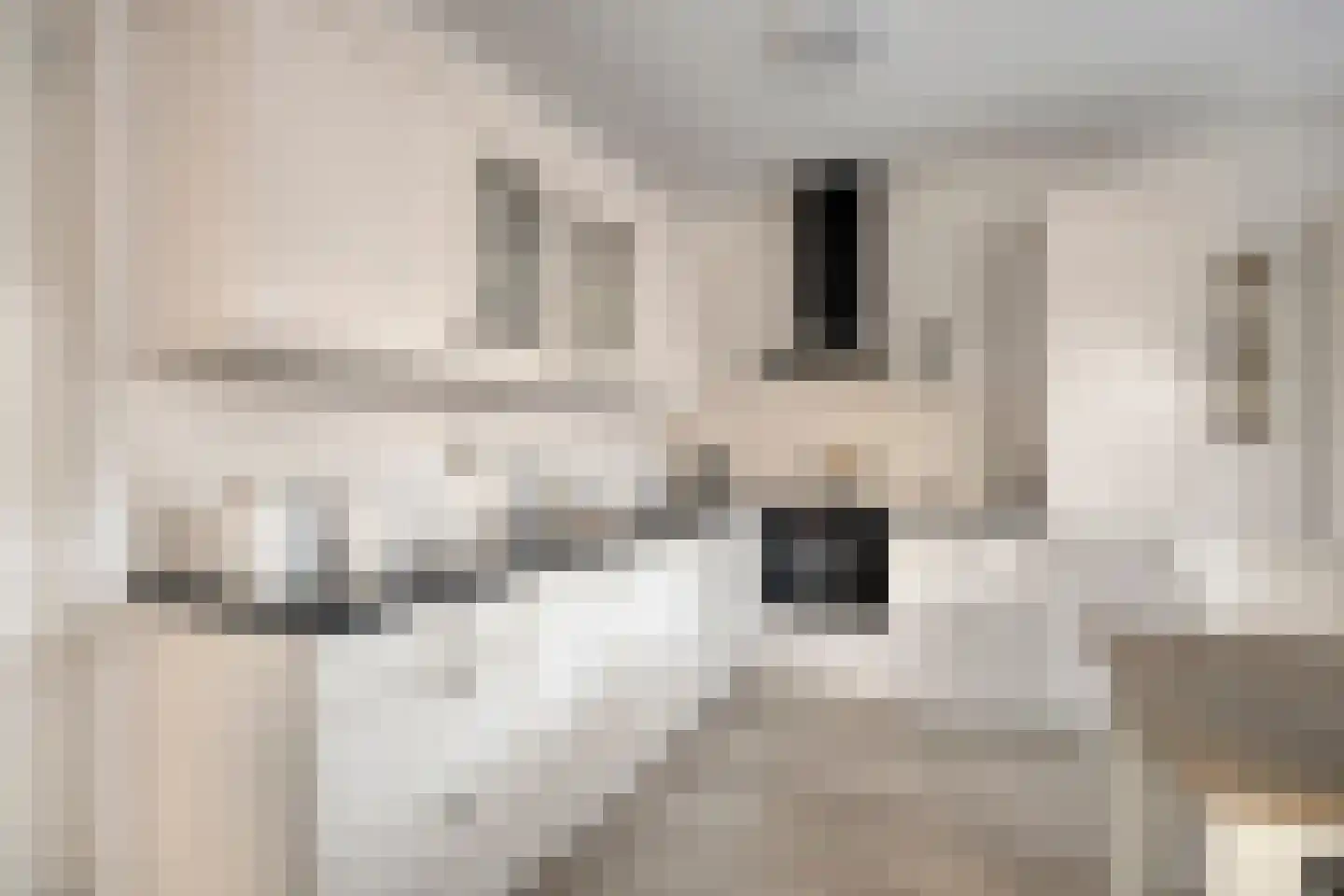 Zwaluw 79 Mijdrecht thumbnail 6