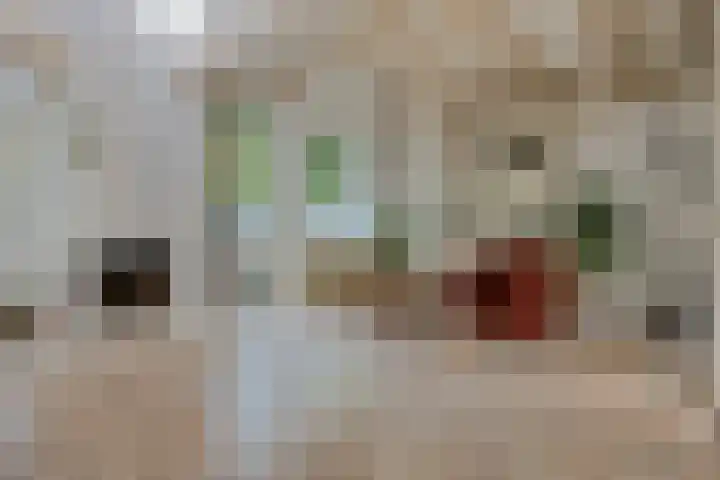 Zwaluw 82 Nieuwegein thumbnail 15