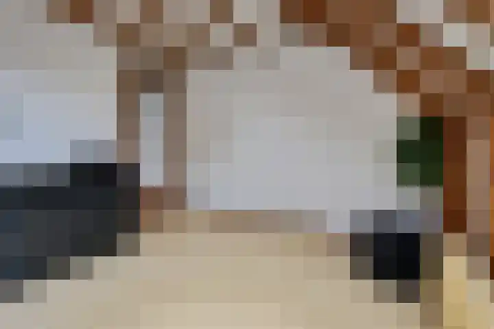 Zwaluw 82 Nieuwegein thumbnail 37