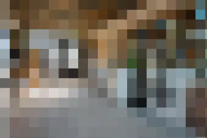 Zwaluw 82 Nieuwegein thumbnail 39