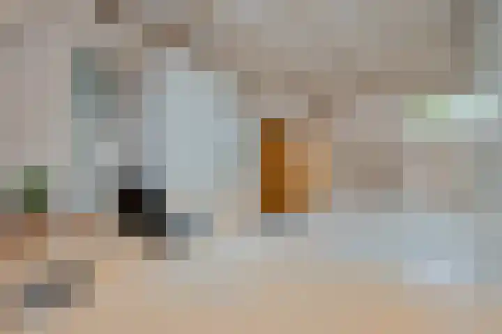 Zwaluw 82 Nieuwegein thumbnail 4