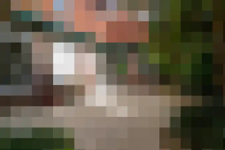 Zwaluw 82 Nieuwegein thumbnail 43