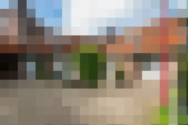 Zwaluw 82 Nieuwegein thumbnail 7