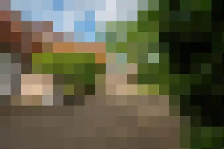 Zwaluw 82 Nieuwegein thumbnail 8