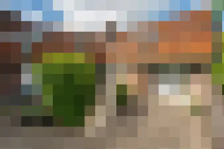 Zwaluw 82 Nieuwegein thumbnail 9