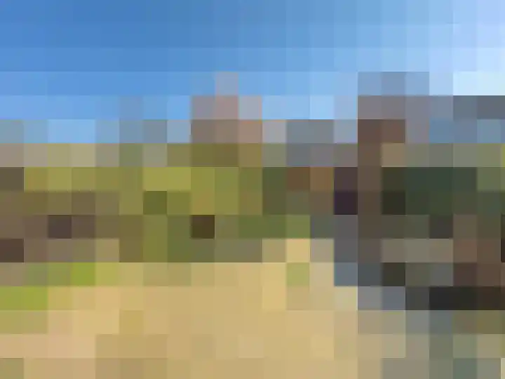 Zwaluw 92 Ridderkerk thumbnail 13