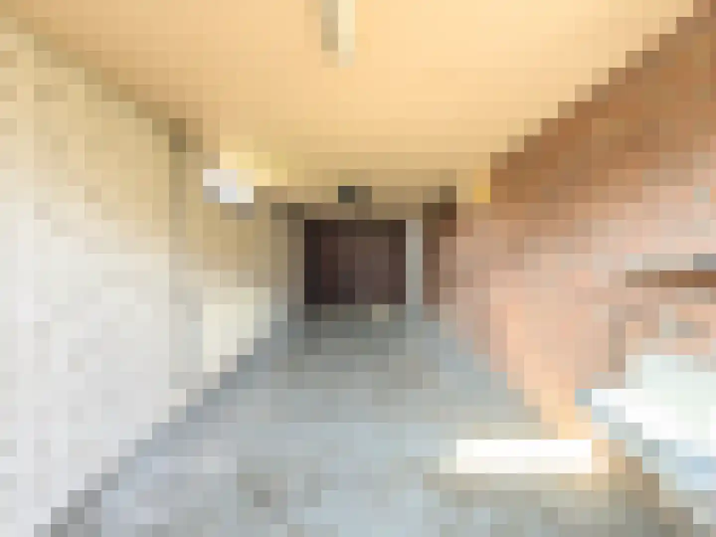 Zwaluw 92 Ridderkerk thumbnail 14