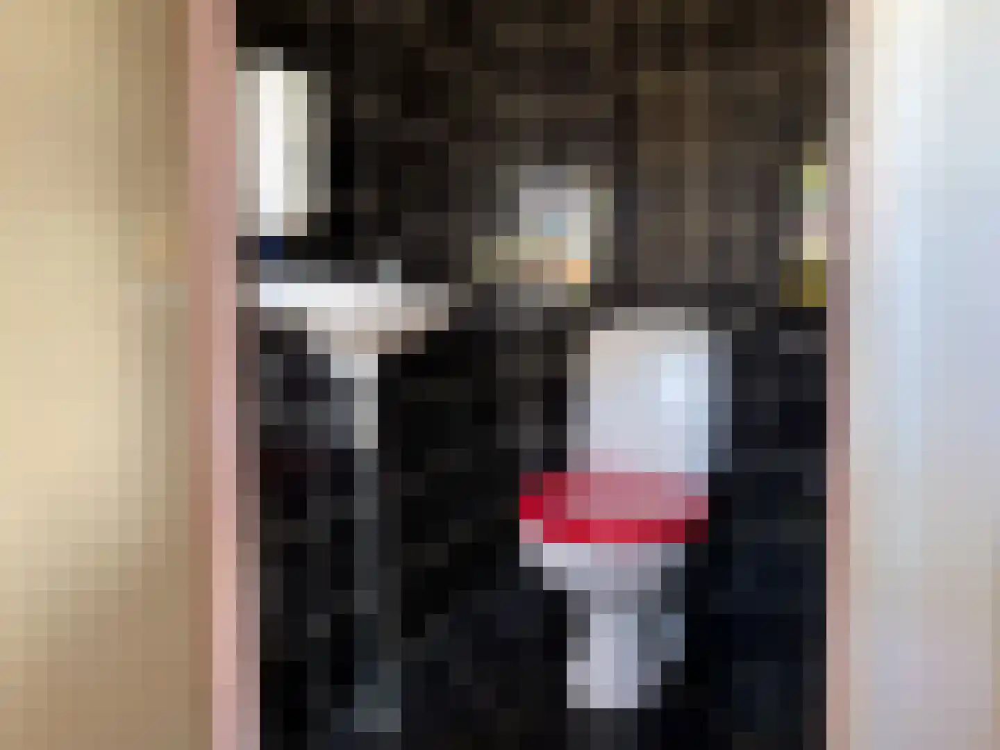 Zwaluw 92 Ridderkerk thumbnail 16