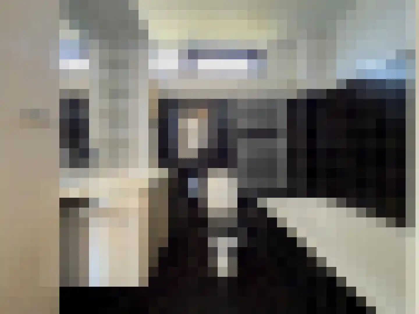 Zwaluw 92 Ridderkerk thumbnail 17