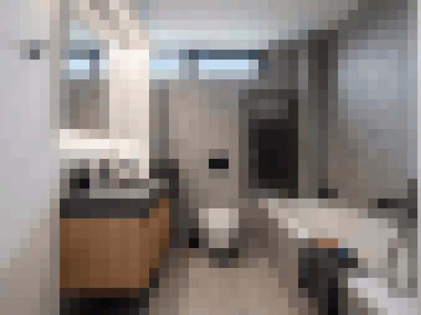 Zwaluw 92 Ridderkerk thumbnail 18