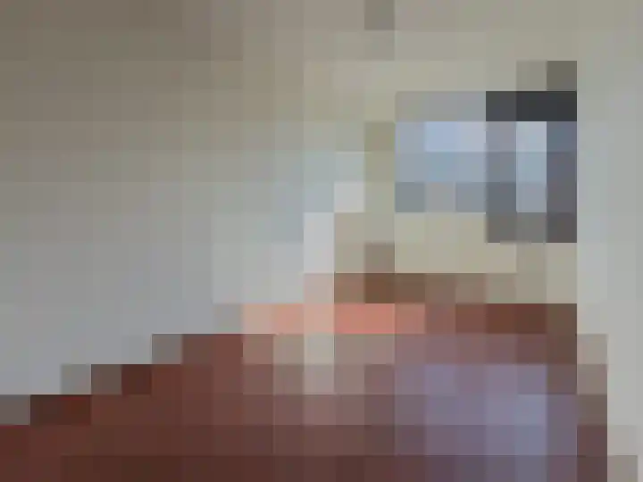 Zwaluw 92 Ridderkerk thumbnail 19