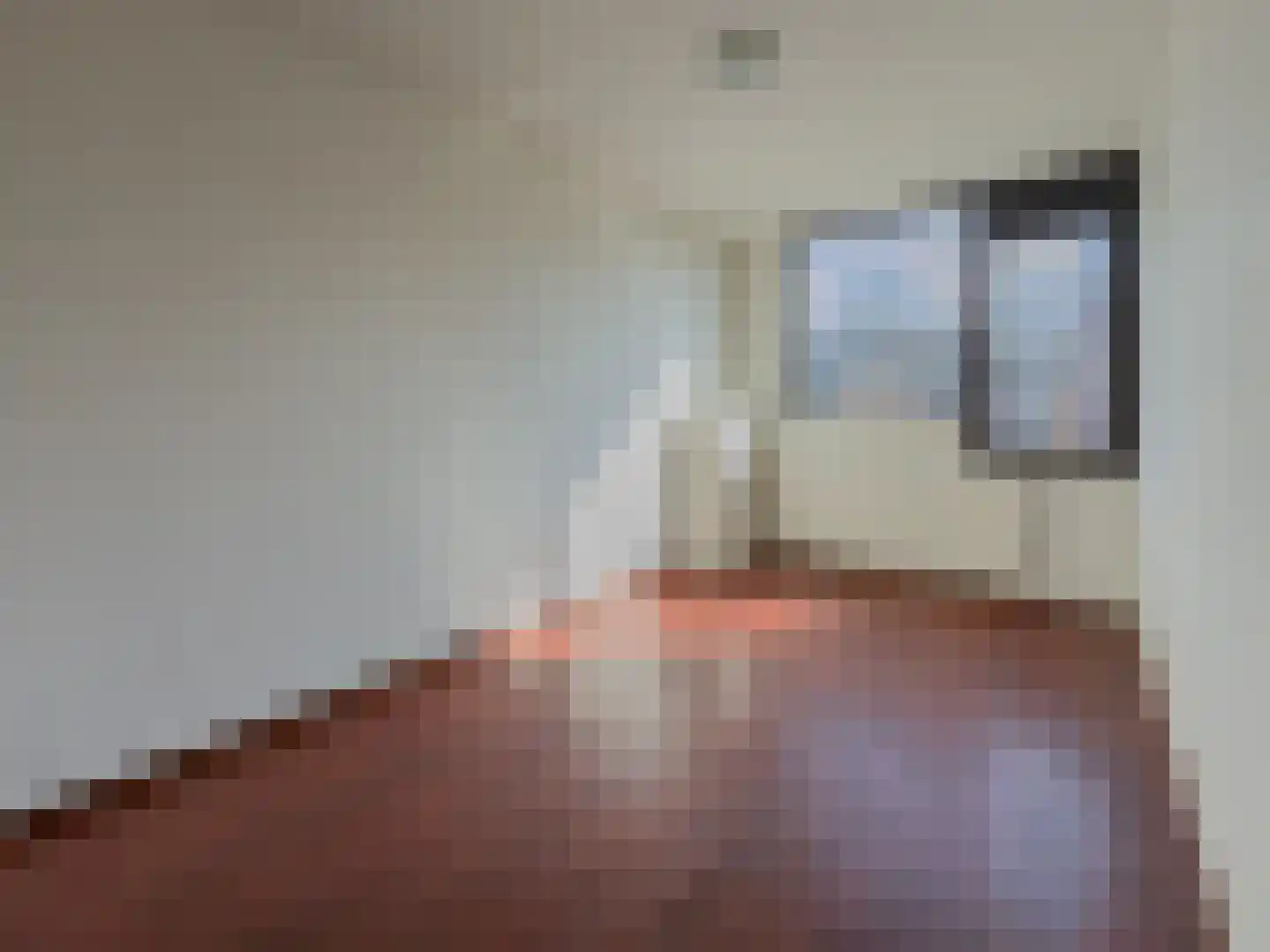 Zwaluw 92 Ridderkerk thumbnail 19