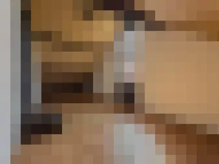Zwaluw 92 Ridderkerk thumbnail 22