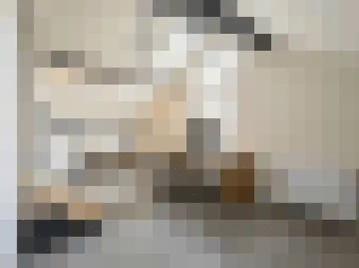 Zwaluw 92 Ridderkerk thumbnail 23