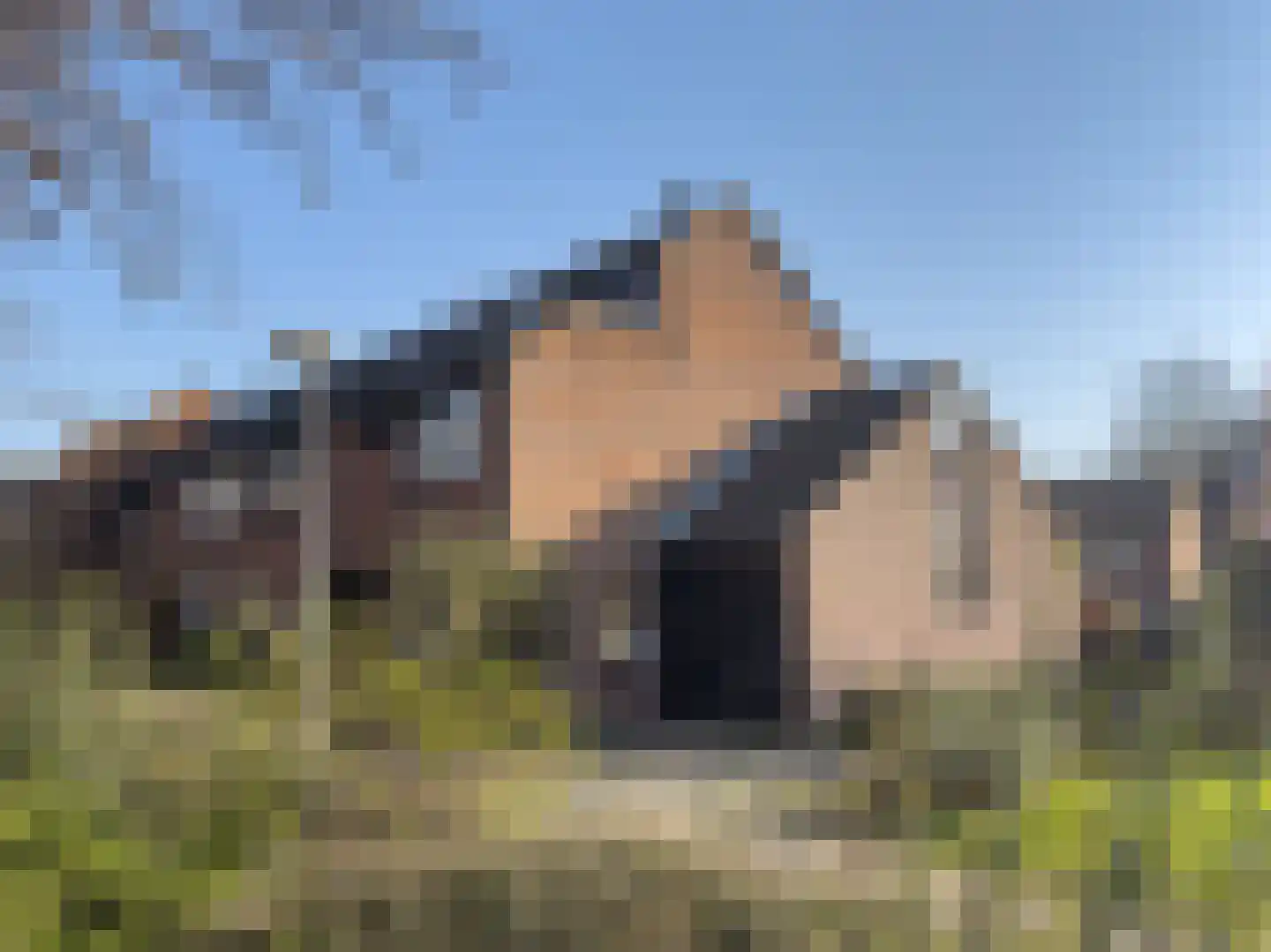 Zwaluw 92 Ridderkerk thumbnail 31