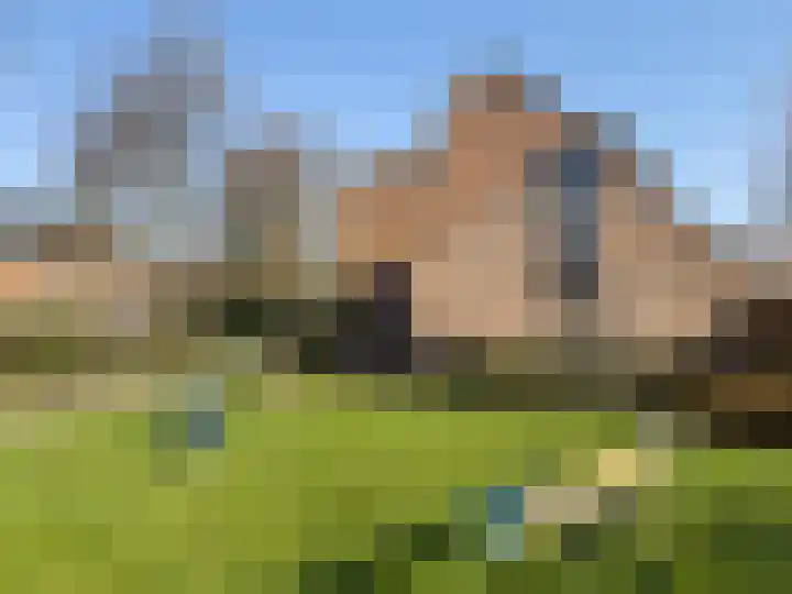 Zwaluw 92 Ridderkerk thumbnail 32