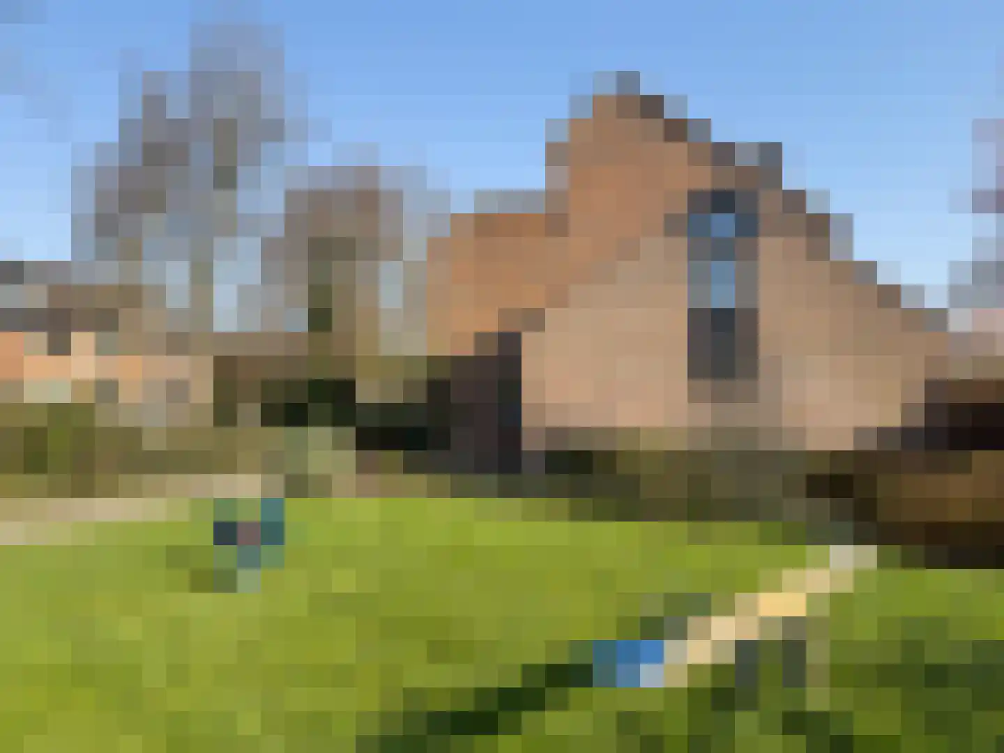 Zwaluw 92 Ridderkerk thumbnail 32