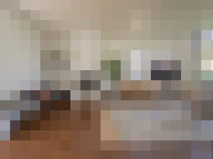 Zwaluw 92 Ridderkerk thumbnail 7
