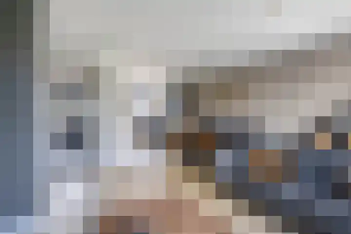 Zwaluwbij 3 Waddinxveen thumbnail 10
