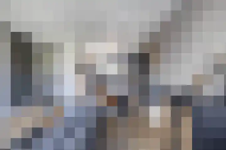 Zwaluwbij 3 Waddinxveen thumbnail 11